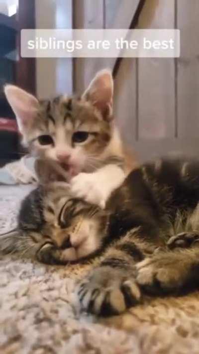 This is so adorable.