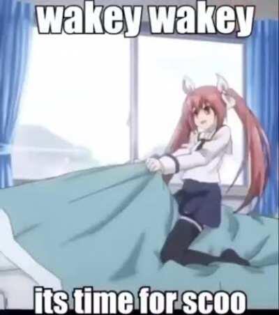 imouto wakey wakey