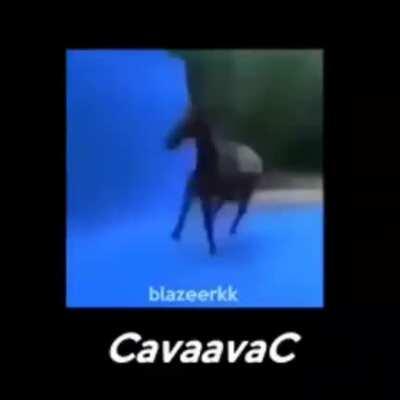 OLAVAC! (abaixa o volume)