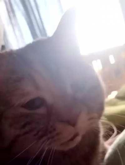 Give him everything everything he wants, right now!