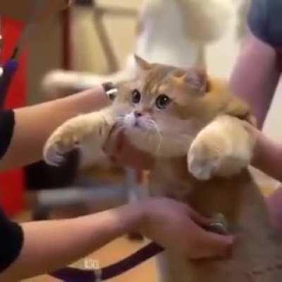 Oh lawd he getting a physical