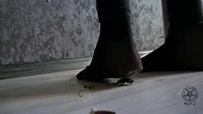 Helga li Crush Roaches Sock