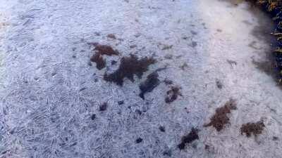 Real-time water crystallization process I caught on video.