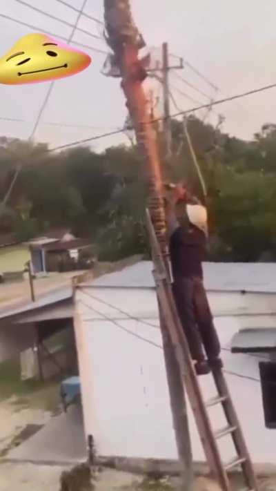 To cut the tree safely