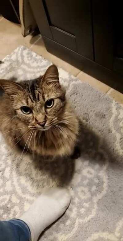 How he asks for rubbins while I'm on the toilet