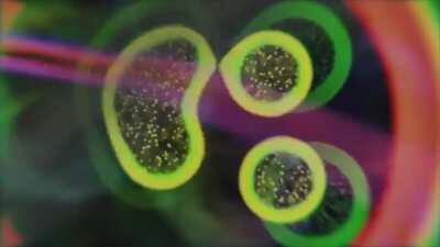 Made a slowed, slightly edited version of 71m3 and synced the HTIF visualiser to it :)