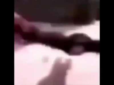 Ojalás que esto sea lo primero que vea el maricon