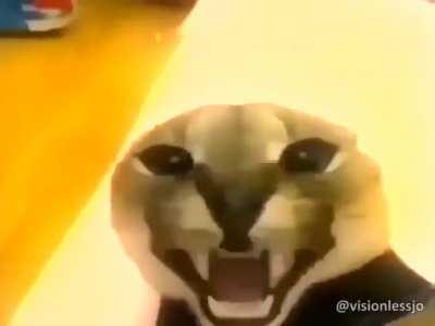 its that time again rule