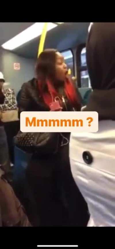 Lady throws tantrum on bus instead of standing up for 2 seconds to let passenger off