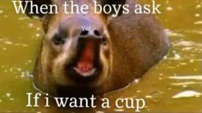 Cup?