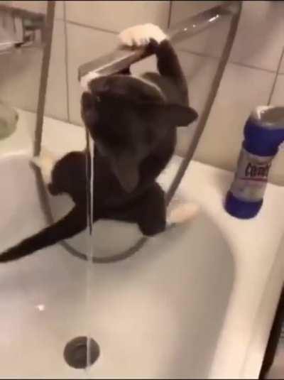 Drinking consequences