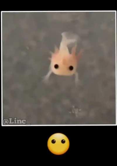 Muito bom kkkkkkkkkkkkkkkk