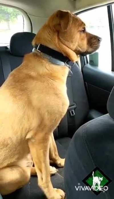 When T3 Myers killed all your teammates and spine chill triggers