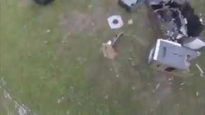 Простой способ приготовления тостов