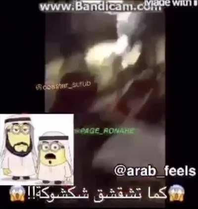 Halal.funnyepic فضلات عربية حلال!!!peter bruh.mp4 نيغا مضحك