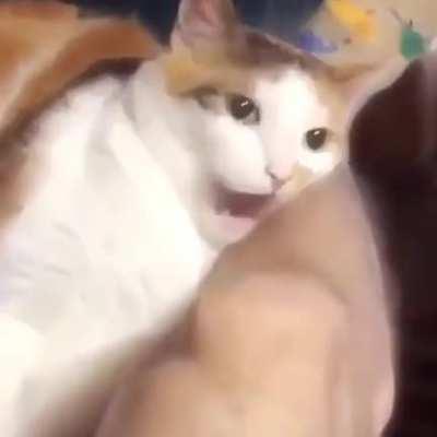 if you bite slow, they won’t see it coming