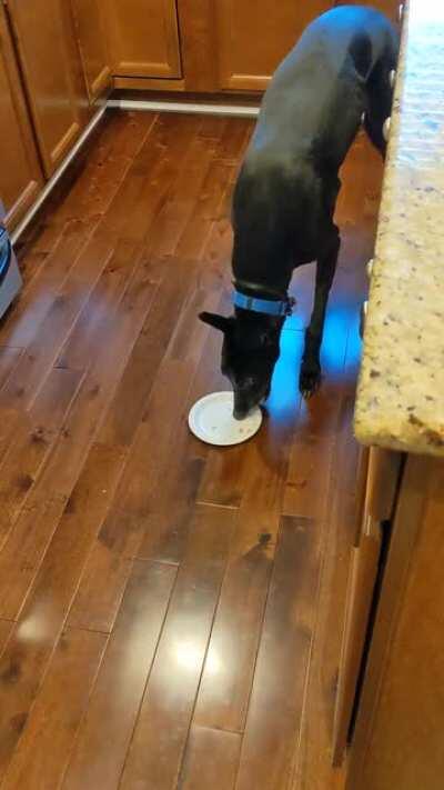 He's being bad, but at least he's polite about it?