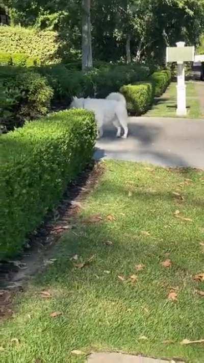 Wenn morgen Montag ist und du nicht auf die Arbeit musst