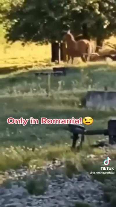 Numai in Romania