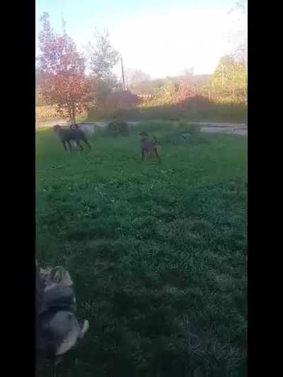 At least he is polite I suppose?!