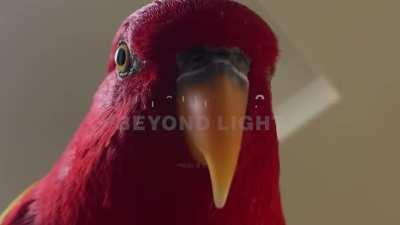 that's it, that's what we need Bungie, Make it real 🤣