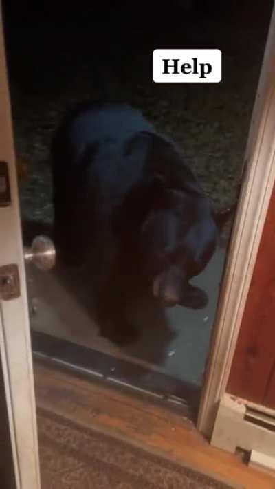 Courteous Bear Closes The Door