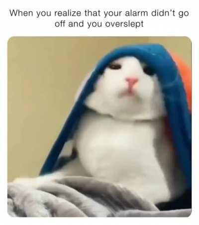 Fuck, I did it again...