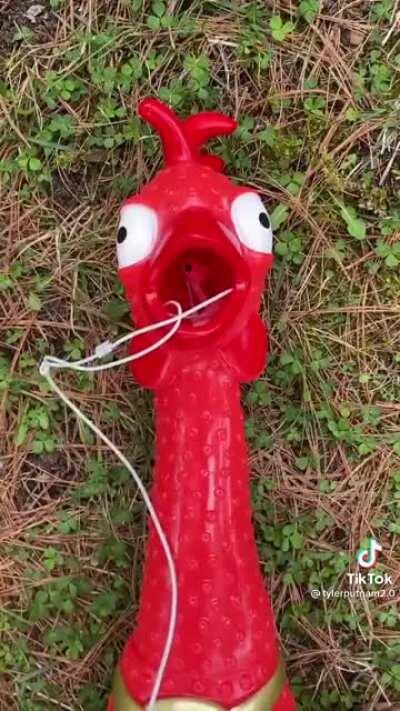 AAAAAAAAAAAAAAAAAAAA