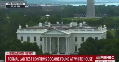 SHEEPLE ð¤¡ð I mean Just pathetic ð¤¦ð½ââï¸