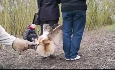 Flexibility and accuracy