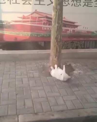 Скоро...отпуск