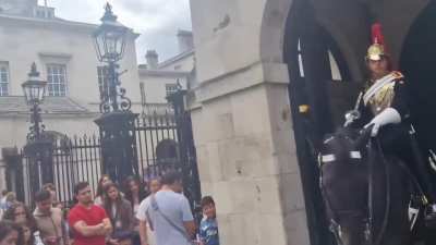 Woman faints after getting bitten by king’s guard’s horse