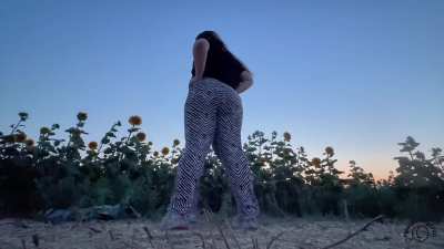 Farting freely in a sunflower field at sunrise—nature’s never smelled this filthy 🌻💨👃🌅