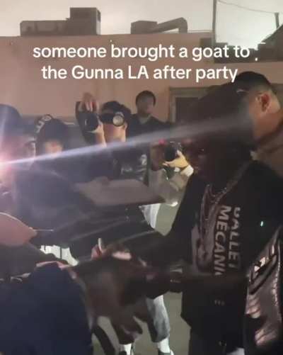 Fan brought a goat to Gunna concert for an autograph