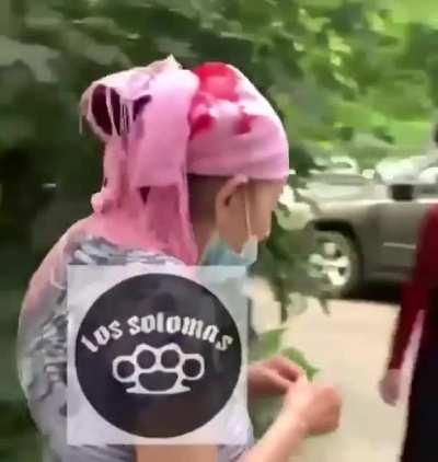 Эффективный способ борьбы с цыганами