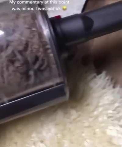 Vacuuming in Australia 