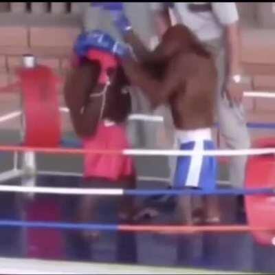 monkey boxing