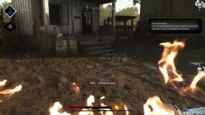 Had a nice relaxing game the other day