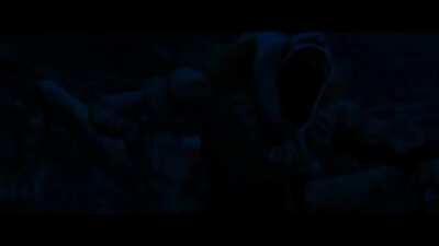 Porçay Kanser Kitle Özeti Ama İt 2