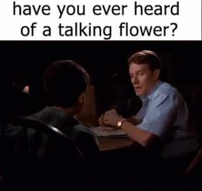 * have you ever heard of a talking flower?