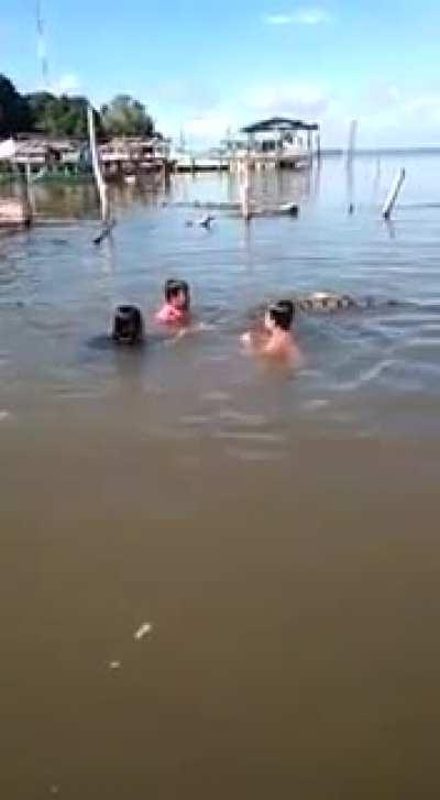 Let's swim with the dinosaur