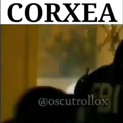 LLEVEN A MI PERRA AL VETERINARIO