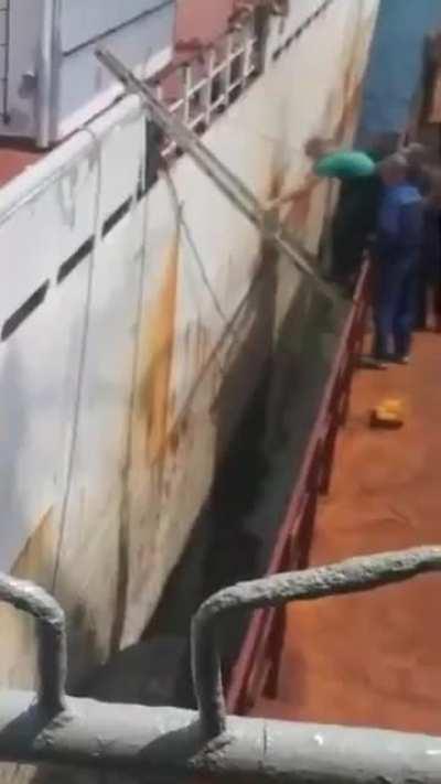 Don't worry, these ladders are safe!