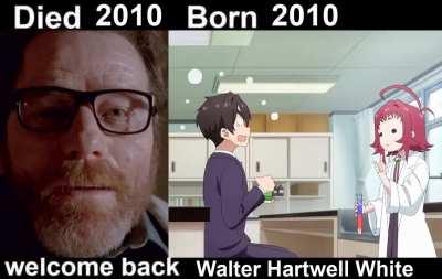 What was the lore reason why Walter White failed to create an immortality drug?