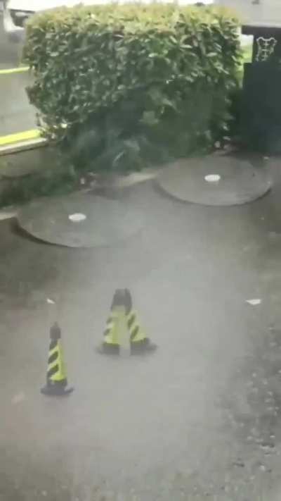 What in the Ghost Busters is going on here???!