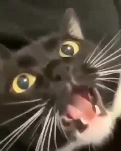 Important announcement