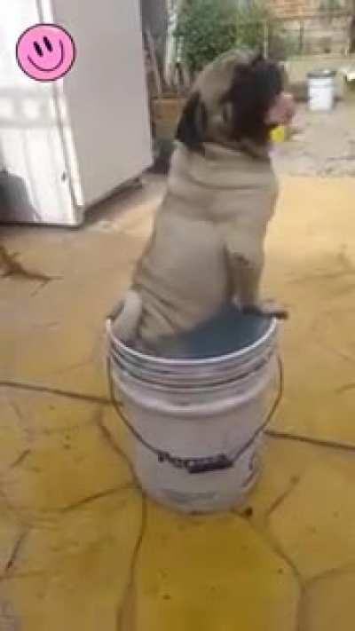 Жарко собакену:)