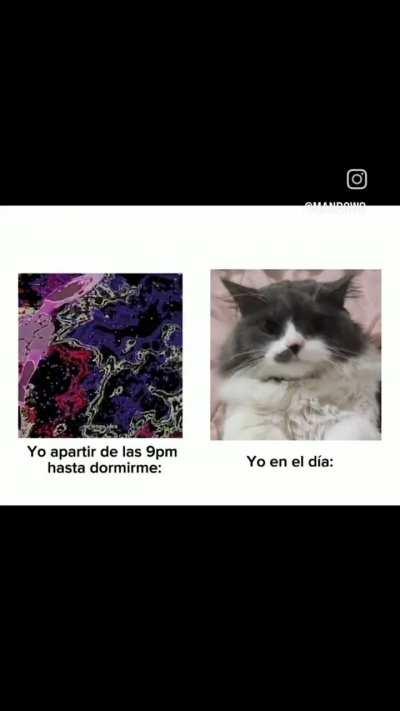 Meme de evangelion 