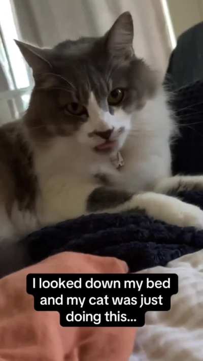 The way it KEPT going I can’t 🐈🤣