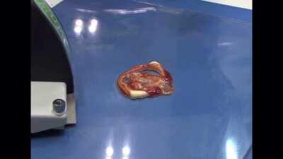 I present to you... the SWITL